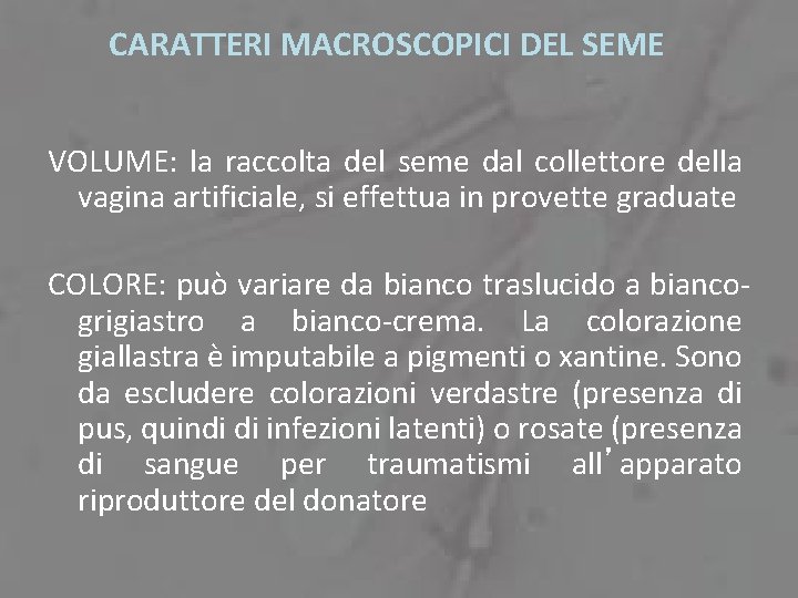 CARATTERI MACROSCOPICI DEL SEME VOLUME: la raccolta del seme dal collettore della vagina artificiale,