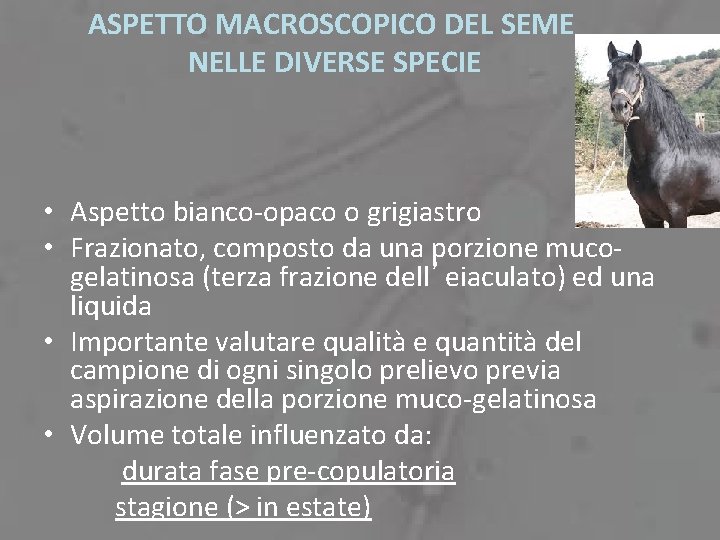 ASPETTO MACROSCOPICO DEL SEME NELLE DIVERSE SPECIE • Aspetto bianco-opaco o grigiastro • Frazionato,