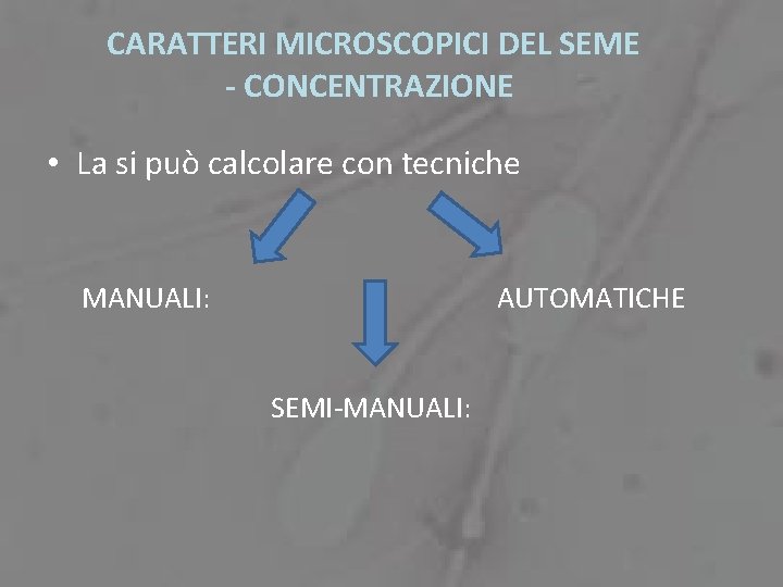 CARATTERI MICROSCOPICI DEL SEME - CONCENTRAZIONE • La si può calcolare con tecniche MANUALI: