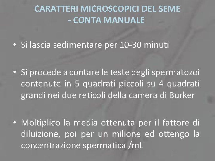 CARATTERI MICROSCOPICI DEL SEME - CONTA MANUALE • Si lascia sedimentare per 10 -30