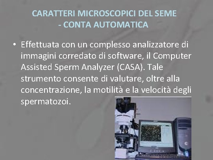 CARATTERI MICROSCOPICI DEL SEME - CONTA AUTOMATICA • Effettuata con un complesso analizzatore di