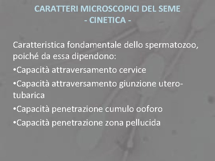 CARATTERI MICROSCOPICI DEL SEME - CINETICA Caratteristica fondamentale dello spermatozoo, poiché da essa dipendono: