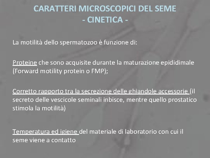 CARATTERI MICROSCOPICI DEL SEME - CINETICA La motilità dello spermatozoo è funzione di: Proteine