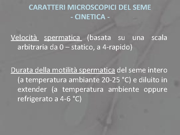 CARATTERI MICROSCOPICI DEL SEME - CINETICA Velocità spermatica (basata su una scala arbitraria da