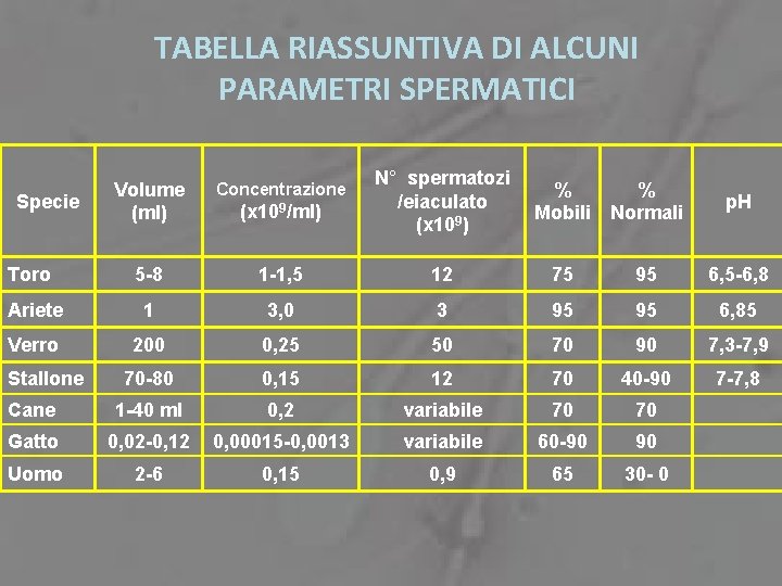 TABELLA RIASSUNTIVA DI ALCUNI PARAMETRI SPERMATICI N° spermatozi /eiaculato (x 109) Volume (ml) Concentrazione