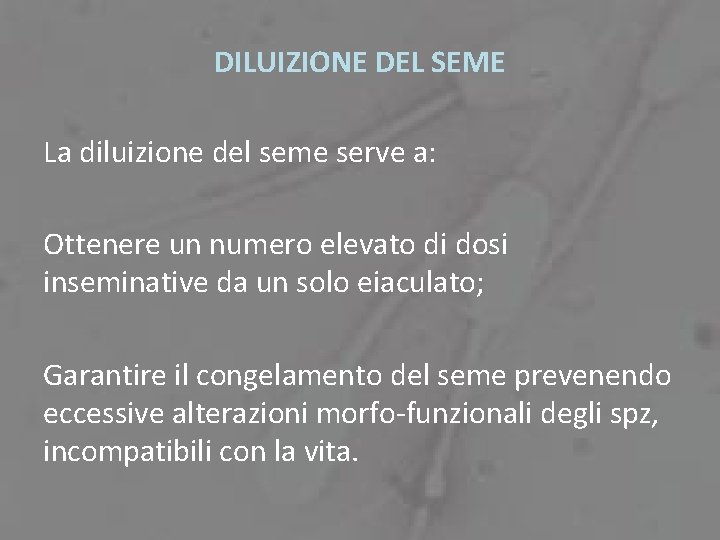 DILUIZIONE DEL SEME La diluizione del seme serve a: Ottenere un numero elevato di