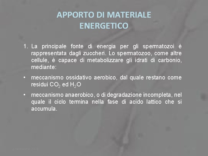 APPORTO DI MATERIALE ENERGETICO 1. La principale fonte di energia per gli spermatozoi è