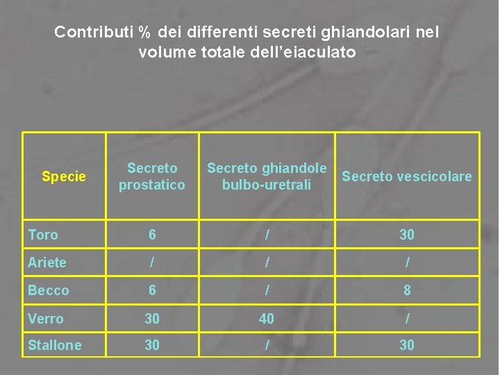 Contributi % dei differenti secreti ghiandolari nel volume totale dell’eiaculato Secreto prostatico Secreto ghiandole