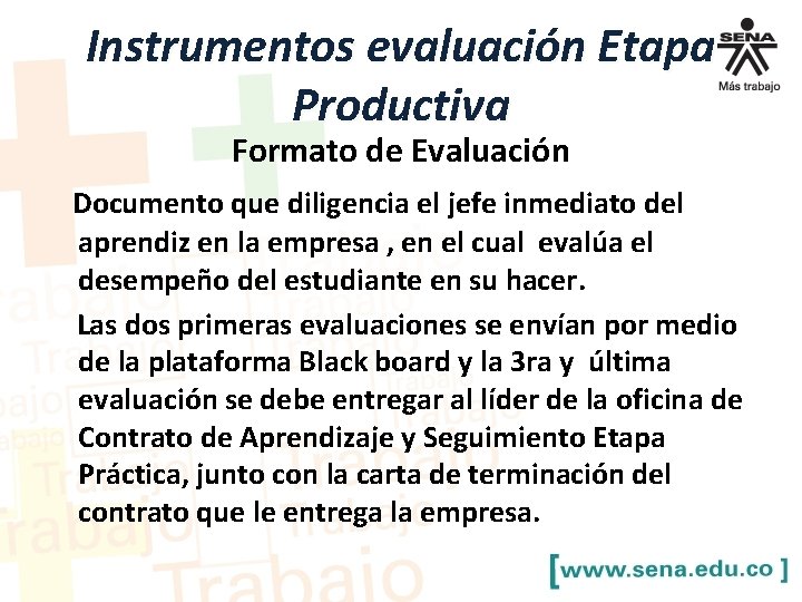 Instrumentos evaluación Etapa Productiva Formato de Evaluación Documento que diligencia el jefe inmediato del