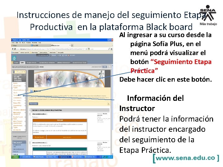 Instrucciones de manejo del seguimiento Etapa Productiva en la plataforma Black board Al ingresar