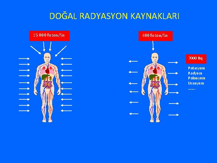 DOĞAL RADYASYON KAYNAKLARI 15 000 foton/Sn 400 foton/Sn 7000 Bq Potasyum Radyum Polonyum Uranyum