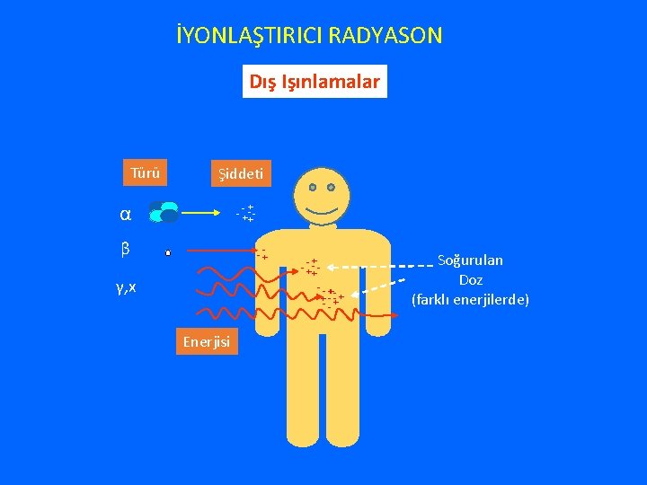 İYONLAŞTIRICI RADYASON Dış Işınlamalar Türü Şiddeti α + - -+-+- β - -+ γ,