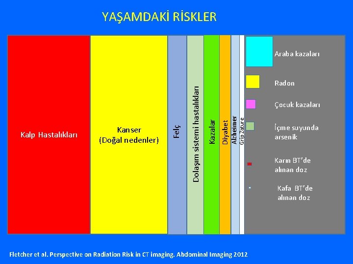 YAŞAMDAKİ RİSKLER Radon Grip Zature Alzheimer Diyabet Çocuk kazaları Kazalar Dolaşım sistemi hastalıkları Kalp