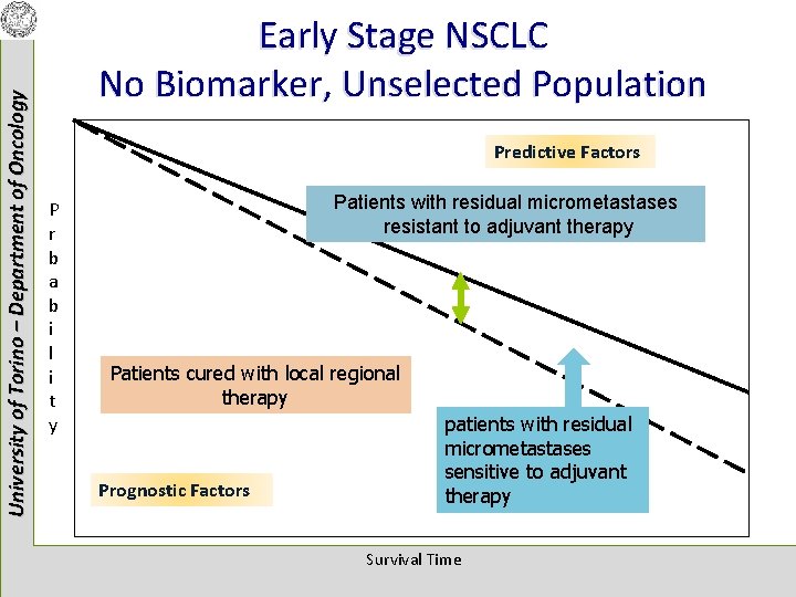 University of Torino – Department of Oncology Early Stage NSCLC No Biomarker, Unselected Population