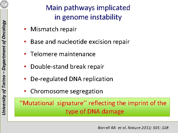 University of Torino – Department of Oncology Main pathways implicated in genome instability •