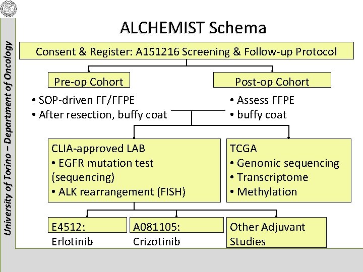 University of Torino – Department of Oncology ALCHEMIST Schema Consent & Register: A 151216