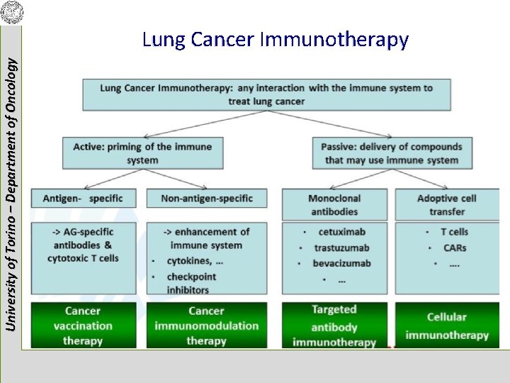 University of Torino – Department of Oncology Lung Cancer Immunotherapy 