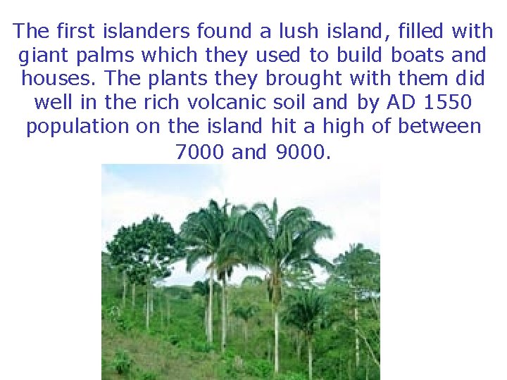 The first islanders found a lush island, filled with giant palms which they used