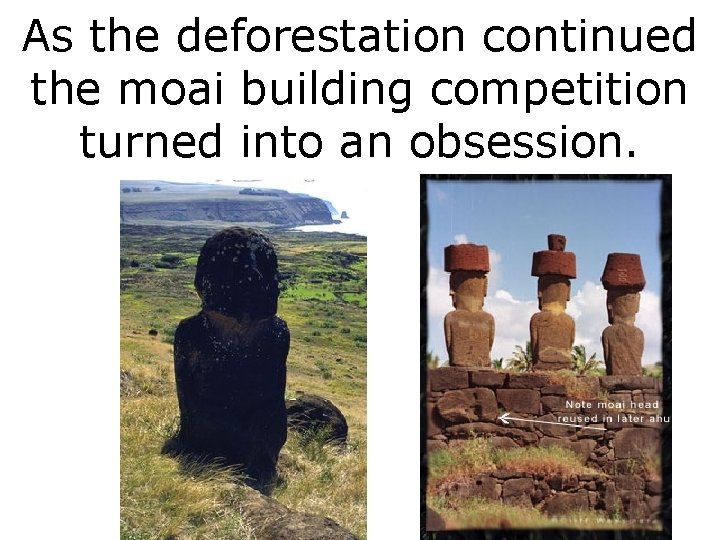As the deforestation continued the moai building competition turned into an obsession. 