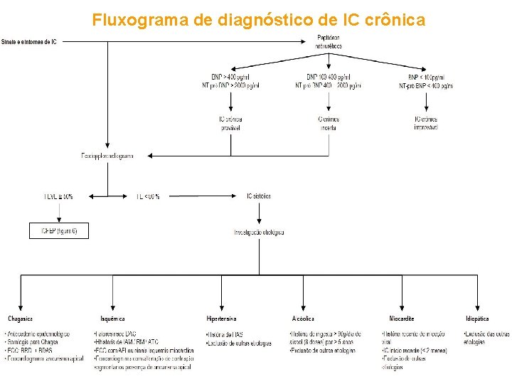 Fluxograma de diagnóstico de IC crônica 