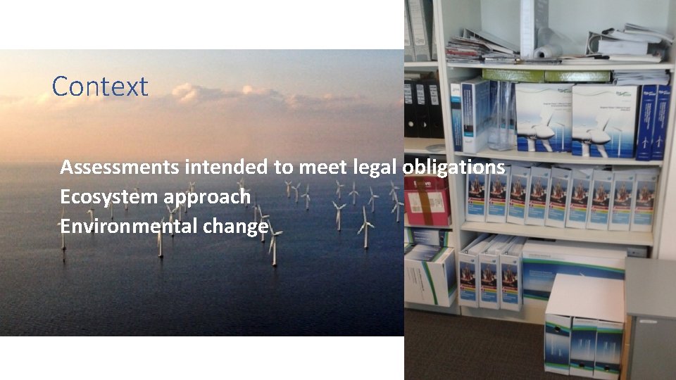 Context Assessments intended to meet legal obligations Ecosystem approach Environmental change 