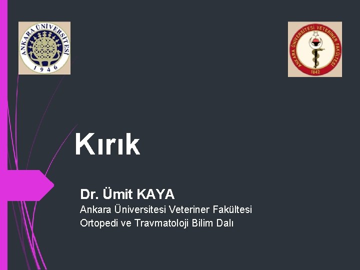 Kırık Dr. Ümit KAYA Ankara Üniversitesi Veteriner Fakültesi Ortopedi ve Travmatoloji Bilim Dalı 