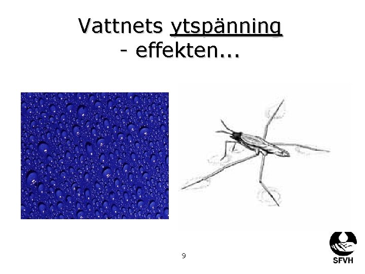 Vattnets ytspänning - effekten. . . 9 