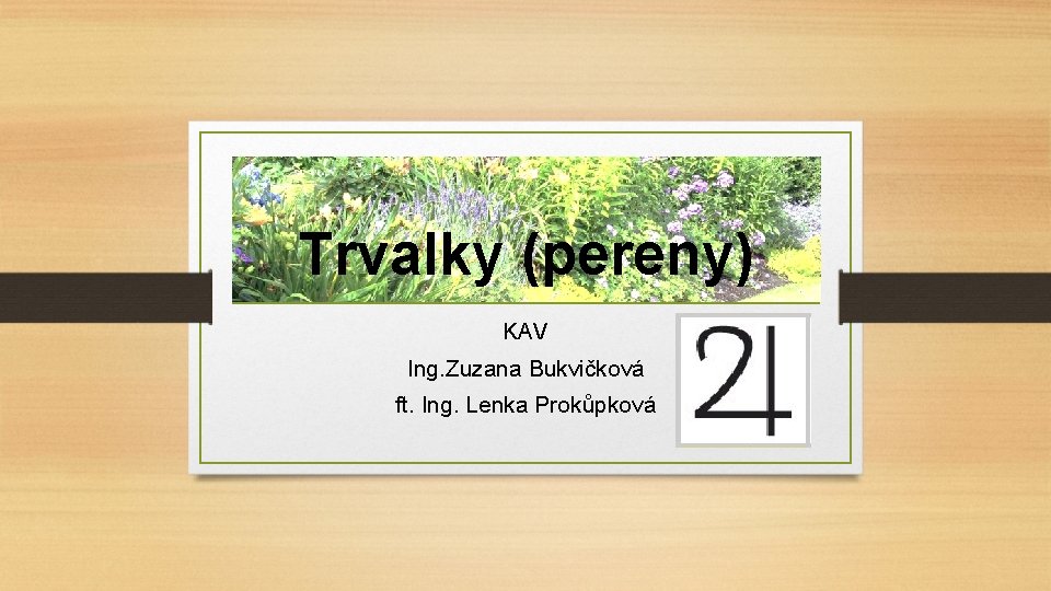 Trvalky (pereny) KAV Ing. Zuzana Bukvičková ft. Ing. Lenka Prokůpková 