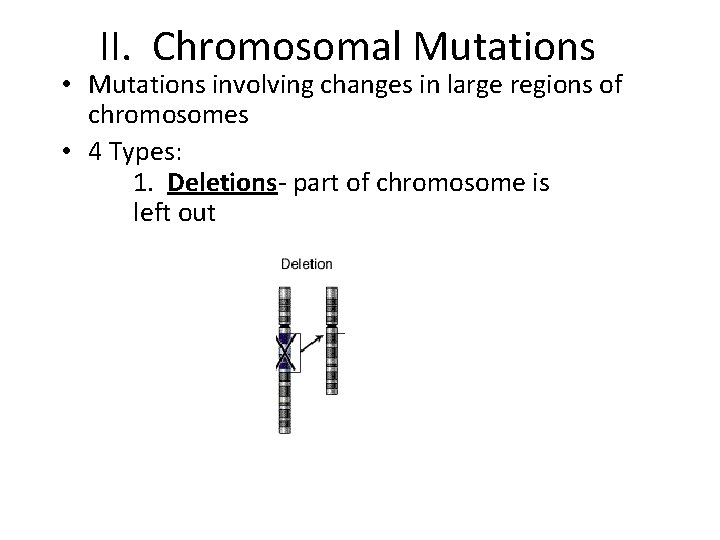 II. Chromosomal Mutations • Mutations involving changes in large regions of chromosomes • 4
