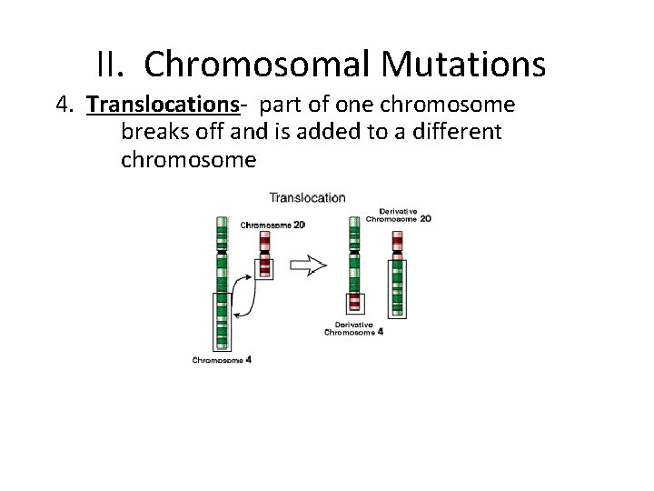 II. Chromosomal Mutations 4. Translocations- part of one chromosome breaks off and is added