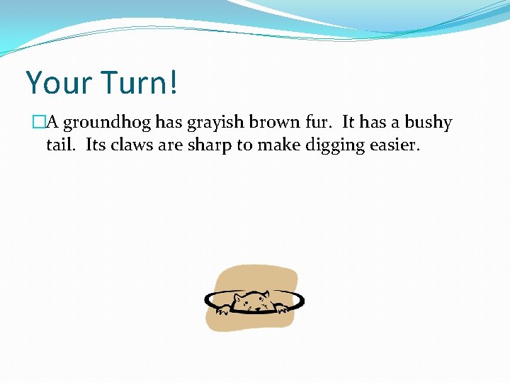 Your Turn! �A groundhog has grayish brown fur. It has a bushy tail. Its