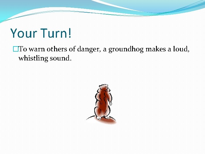 Your Turn! �To warn others of danger, a groundhog makes a loud, whistling sound.