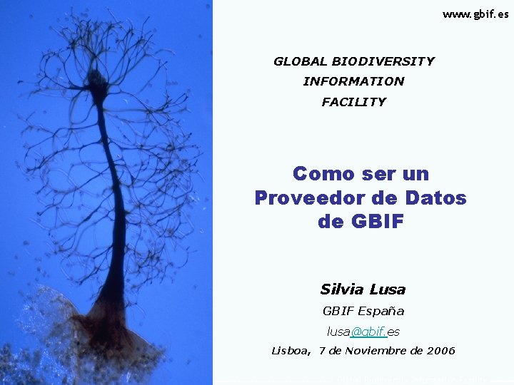 www. gbif. es GLOBAL BIODIVERSITY INFORMATION FACILITY Como ser un Proveedor de Datos de