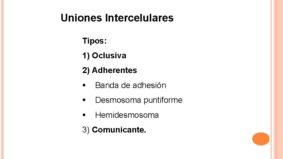Uniones Intercelulares Tipos: 1) Oclusiva 2) Adherentes Banda de adhesión Desmosoma puntiforme Hemidesmosoma 3)