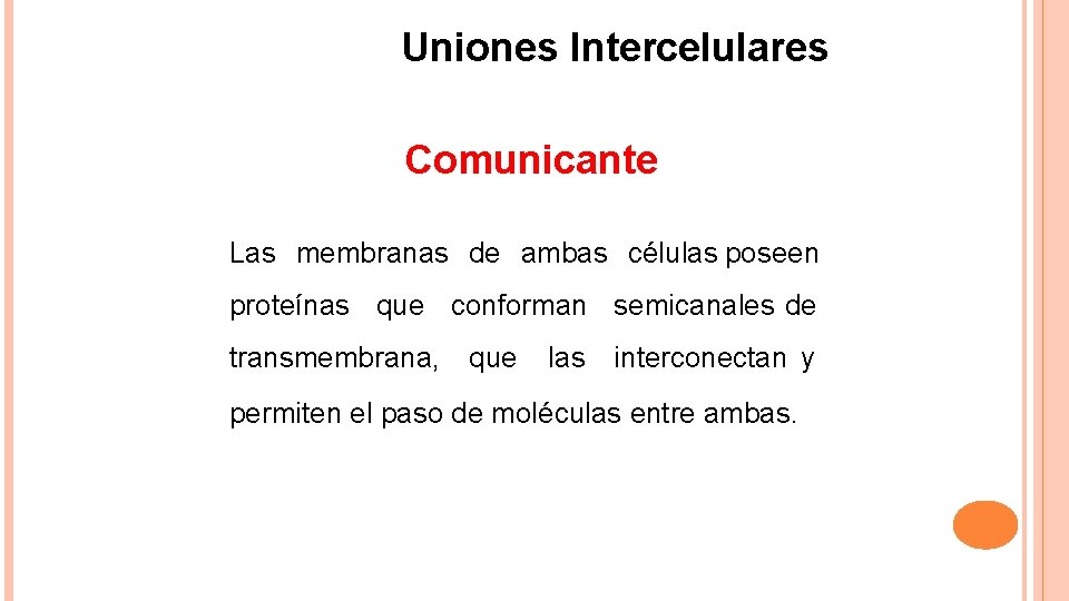 Uniones Intercelulares Comunicante Las membranas de ambas células poseen proteínas que conforman semicanales de
