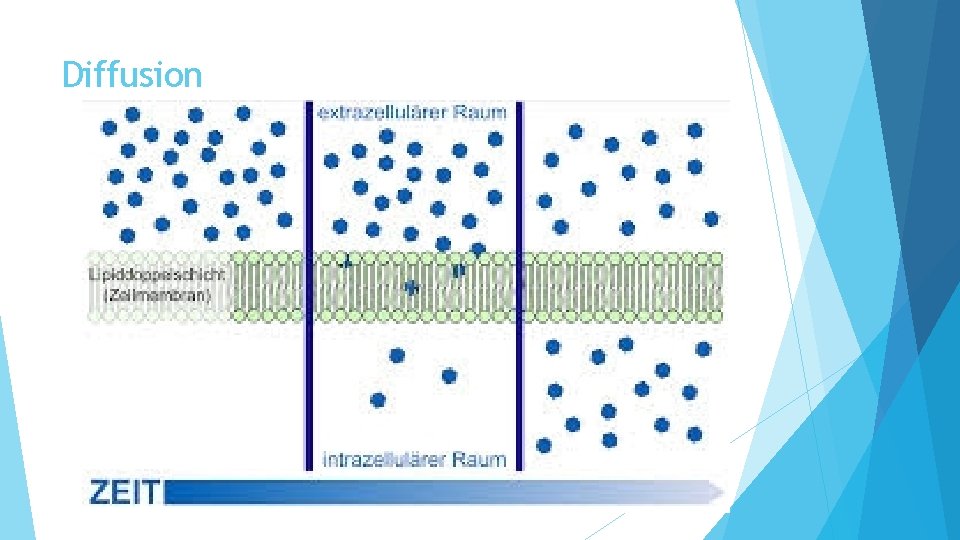 Diffusion 