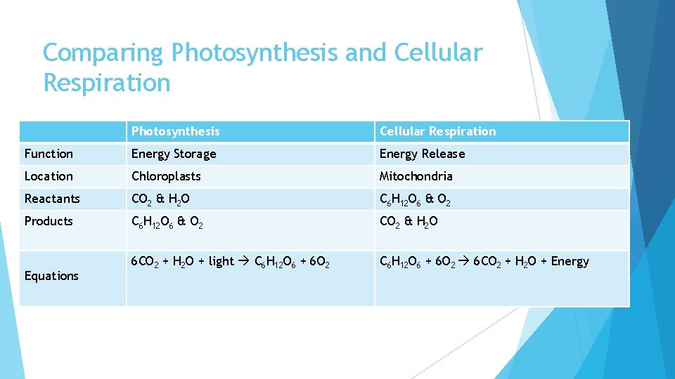 Comparing Photosynthesis and Cellular Respiration Photosynthesis Cellular Respiration Function Energy Storage Energy Release Location
