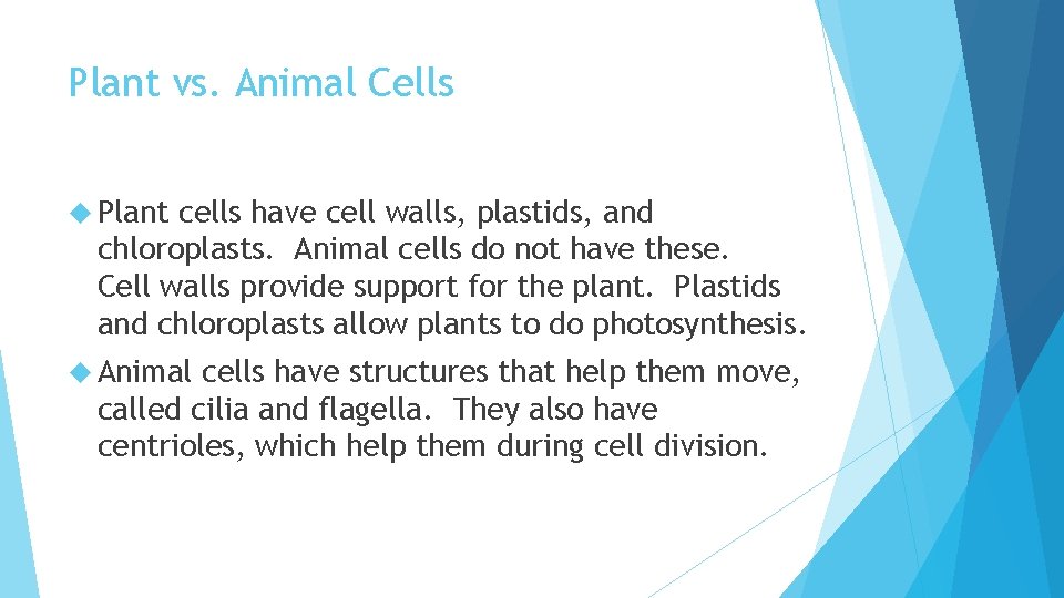Plant vs. Animal Cells Plant cells have cell walls, plastids, and chloroplasts. Animal cells