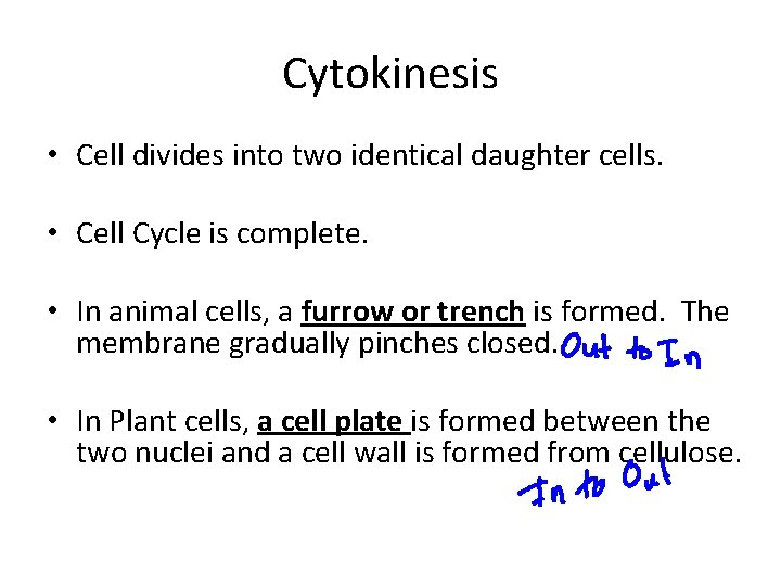 Cytokinesis • Cell divides into two identical daughter cells. • Cell Cycle is complete.