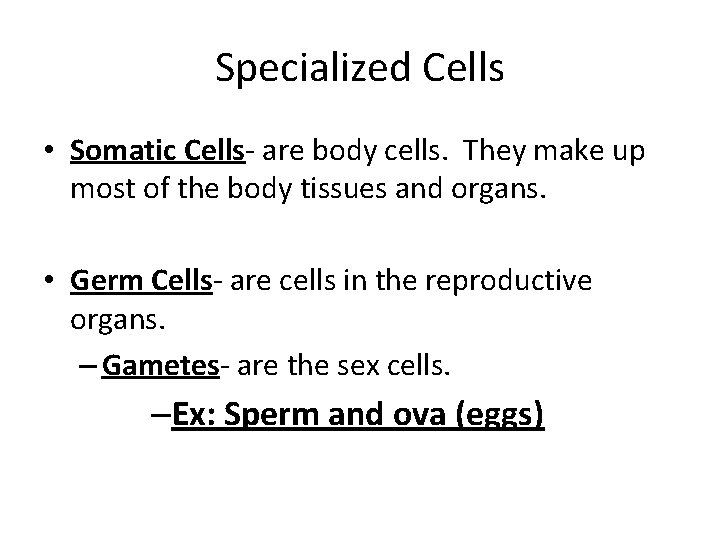 Specialized Cells • Somatic Cells- are body cells. They make up most of the