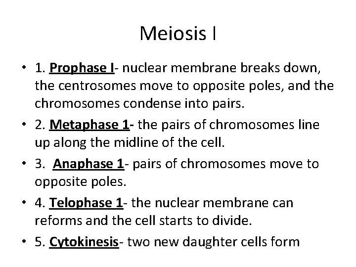 Meiosis I • 1. Prophase I- nuclear membrane breaks down, the centrosomes move to