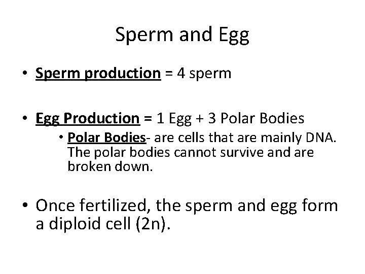 Sperm and Egg • Sperm production = 4 sperm • Egg Production = 1