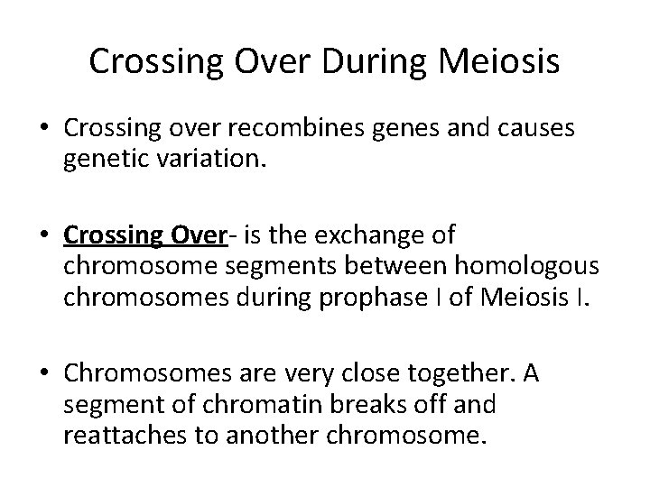 Crossing Over During Meiosis • Crossing over recombines genes and causes genetic variation. •