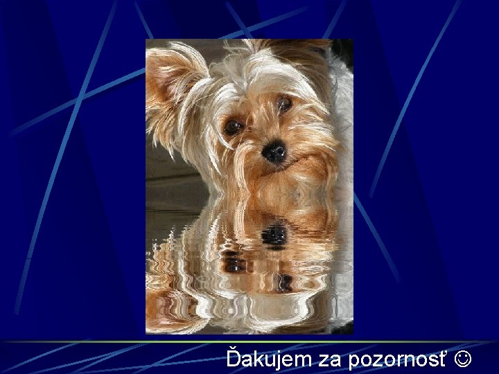 Ďakujem za pozornosť Ďakujem za pozornosť