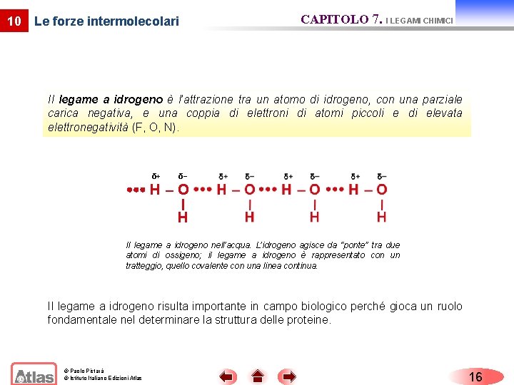 10 Le forze intermolecolari CAPITOLO 7. I LEGAMI CHIMICI Il legame a idrogeno è