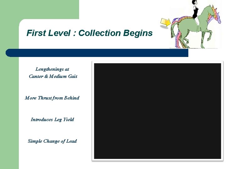 First Level : Collection Begins Lengthenings at Canter & Medium Gait More Thrust from