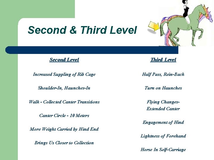 Second & Third Level Second Level Third Level Increased Suppling of Rib Cage Half