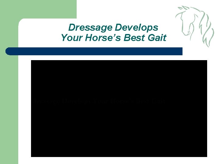 Dressage Develops Your Horse’s Best Gait 