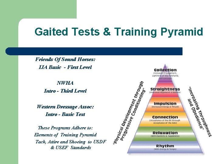 Gaited Tests & Training Pyramid Friends Of Sound Horses: IJA Basic - First Level