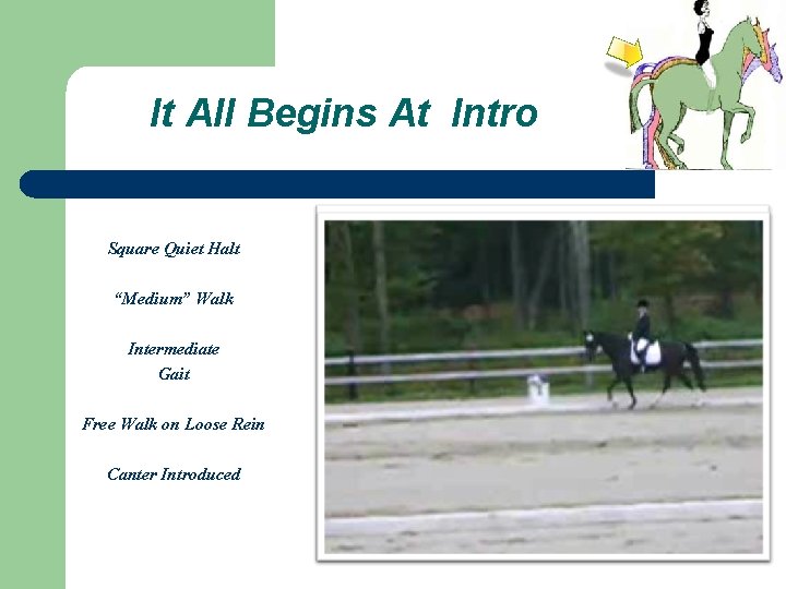 It All Begins At Intro Square Quiet Halt “Medium” Walk Intermediate Gait Free Walk